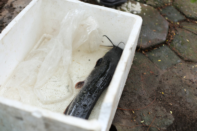 Người dân thư thả ngồi câu cá bên bờ sông Tô Lịch