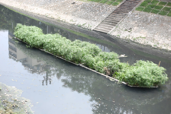 Người dân thư thả ngồi câu cá bên bờ sông Tô Lịch