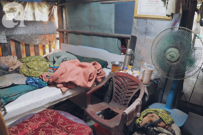 Chuyện tình sâu đậm của ông cụ 85 tuổi, hàng ngày đi lượm ve chai, bán vé dò nuôi vợ liệt giường