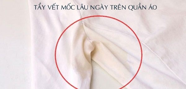 Vết mốc lâu ngày trên quần áo có đen đến mấy cũng sạch bong nhờ 6 cách tẩy sau