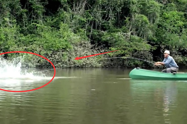 Ăn cá rất tốt, nhưng 4 loại cá này không nên ăn tùy tiện, không có lợi cho sức khỏe