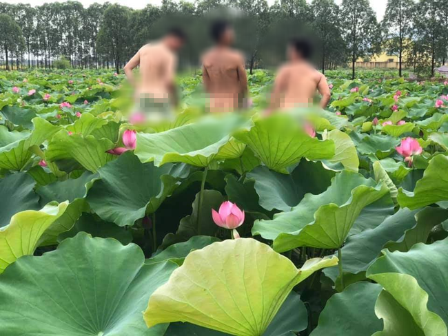 4 chàng trai bán nude, khoe vòng 3 phản cảm bên hồ sen khiến dân mạng tranh cãi kịch liệt