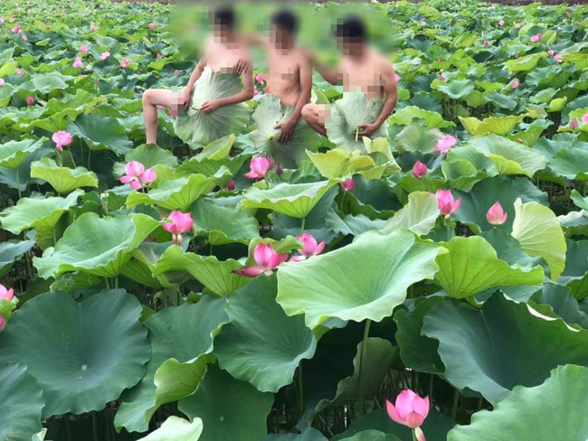 4 chàng trai bán nude, khoe vòng 3 phản cảm bên hồ sen khiến dân mạng tranh cãi kịch liệt
