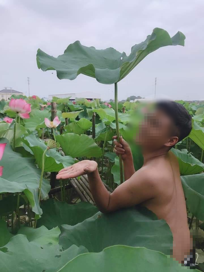 4 chàng trai bán nude, khoe vòng 3 phản cảm bên hồ sen khiến dân mạng tranh cãi kịch liệt