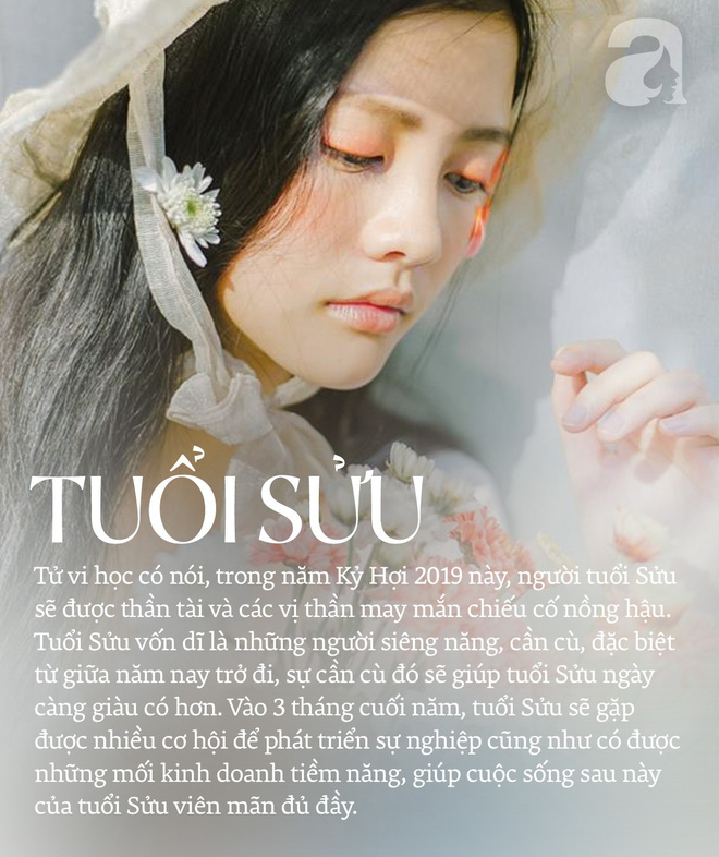 Năm 2019, 3 con giáp này càng chăm chỉ càng giàu có, tháng sau nhiều tiền hơn tháng trước, 3 tháng cuối năm viên mãn cả tình lẫn tiền