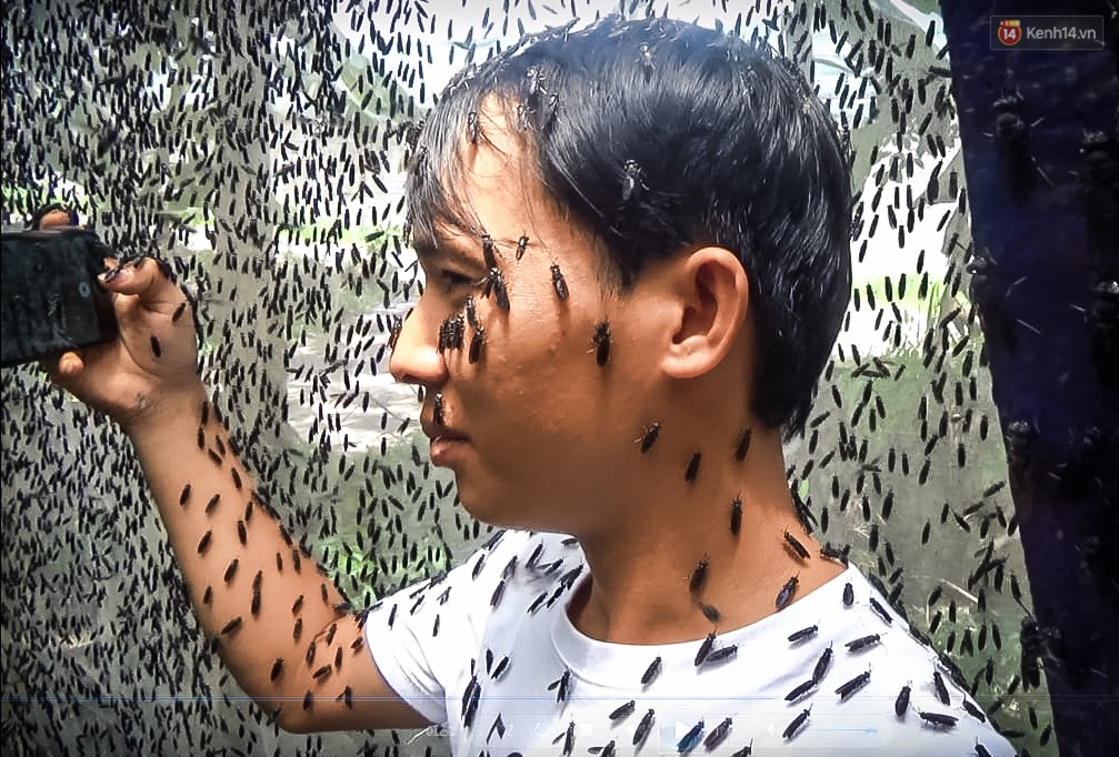 Chàng kỹ sư Sài Gòn bỏ việc về quê nuôi ruồi, doanh thu 80 triệu đồng/tháng: Từng bị gia đình phản đối, bạn bè cười nhạo