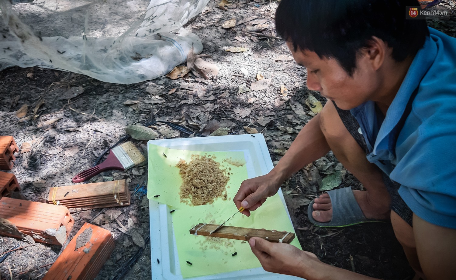 Chàng kỹ sư Sài Gòn bỏ việc về quê nuôi ruồi, doanh thu 80 triệu đồng/tháng: Từng bị gia đình phản đối, bạn bè cười nhạo