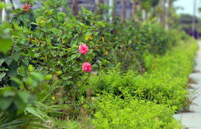 Hà Nội có thêm đường 8 làn xe ở quận Nam Từ Liêm