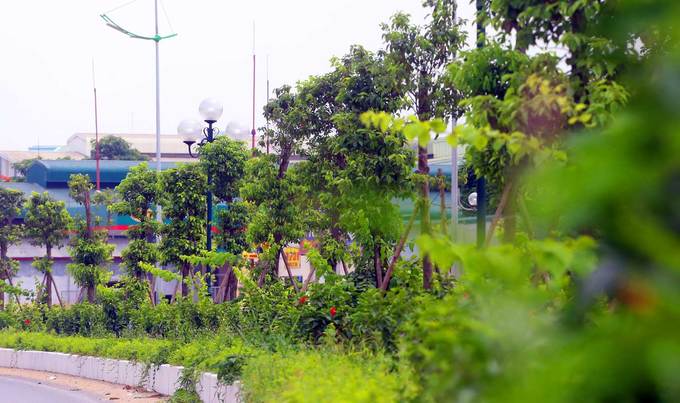 Hà Nội có thêm đường 8 làn xe ở quận Nam Từ Liêm