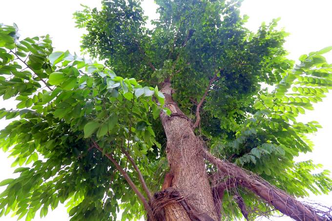 Hà Nội có thêm đường 8 làn xe ở quận Nam Từ Liêm