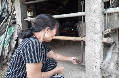 Phẫn nộ kẻ gian xẻ thịt 2 đùi bò mẹ đang mang thai rồi trộm đi