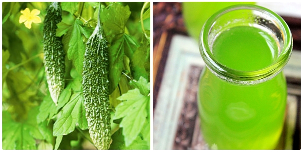 Quả mướp trị sốt cao, ho nhiều đờm