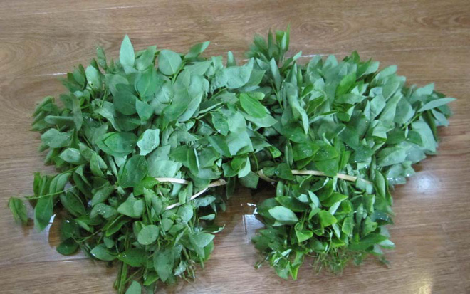 Đông y chỉ ra một loạt bài thuốc chữa bệnh từ rau ngót cực hay cực dễ áp dụng