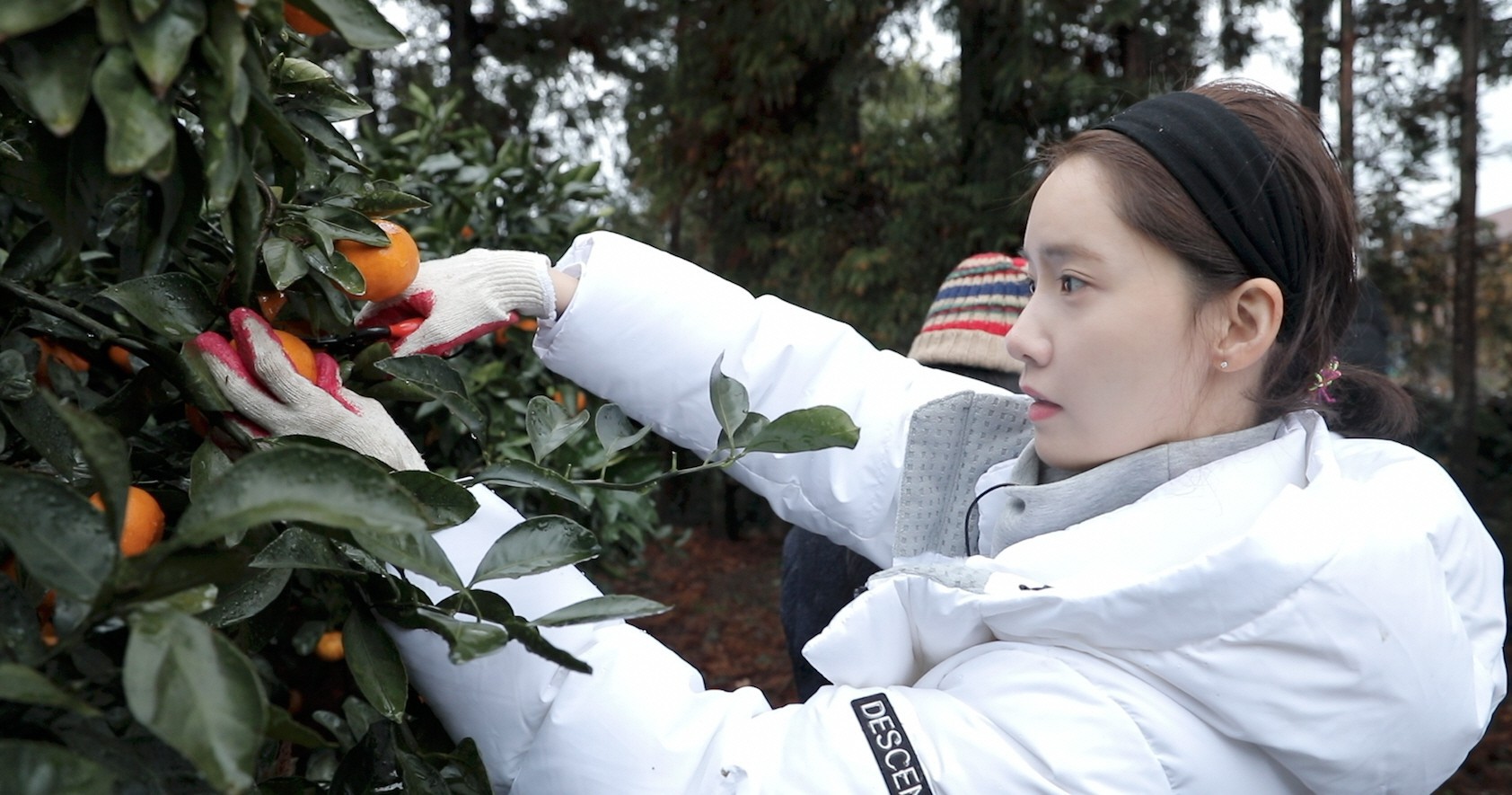 Đẹp tự nhiên cỡ 'nữ thần' như Yoona cũng phải nghiêm túc chăm sóc da dẻ mỗi ngày với 4 tips sau Đẹp tự nhiên cỡ 'nữ thần' như Yoona cũng phải nghiêm túc chăm sóc da dẻ mỗi ngày với 4 tips sau