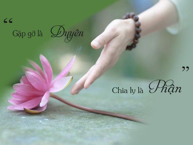 Chàng trai hỏi Phật vì sao yêu 10 năm vẫn bị vứt bỏ, câu trả lời khiến cậu bật khóc Chàng trai hỏi Phật vì sao yêu 10 năm vẫn bị vứt bỏ, câu trả lời khiến cậu bật khóc