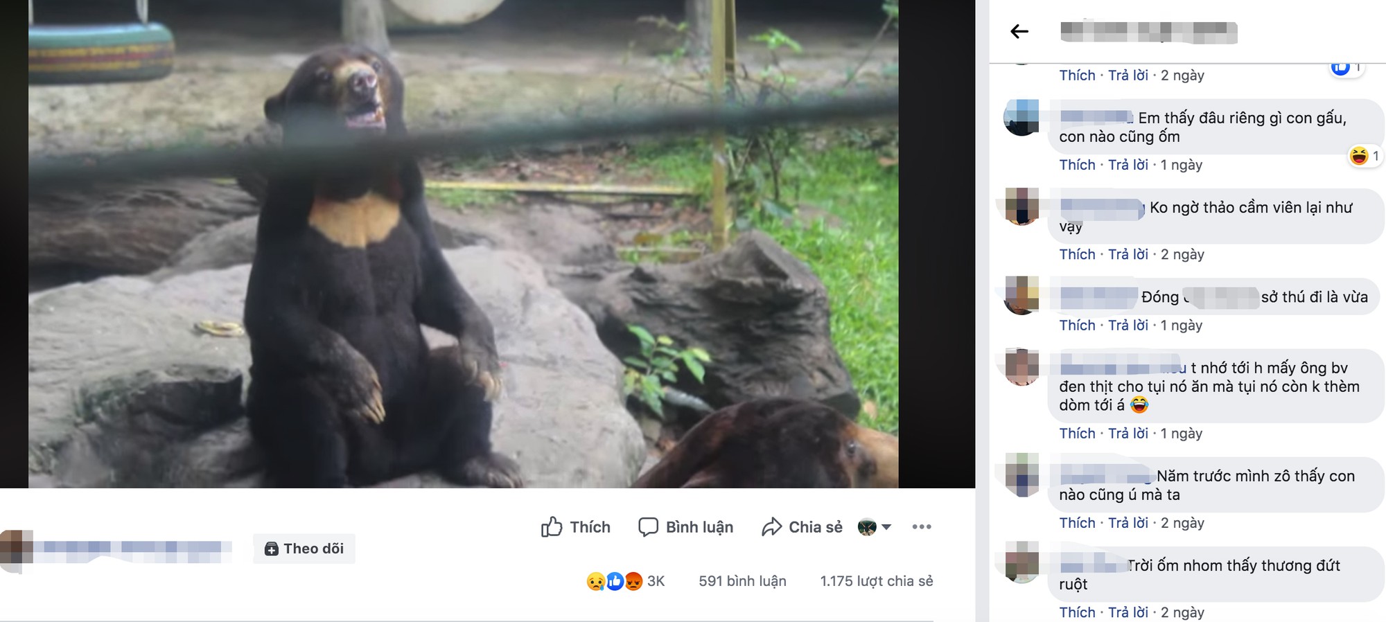 Clip thu hút gần hơn 1.000 chia sẻ cùng hàng nghìn lượt thích và bình luận.