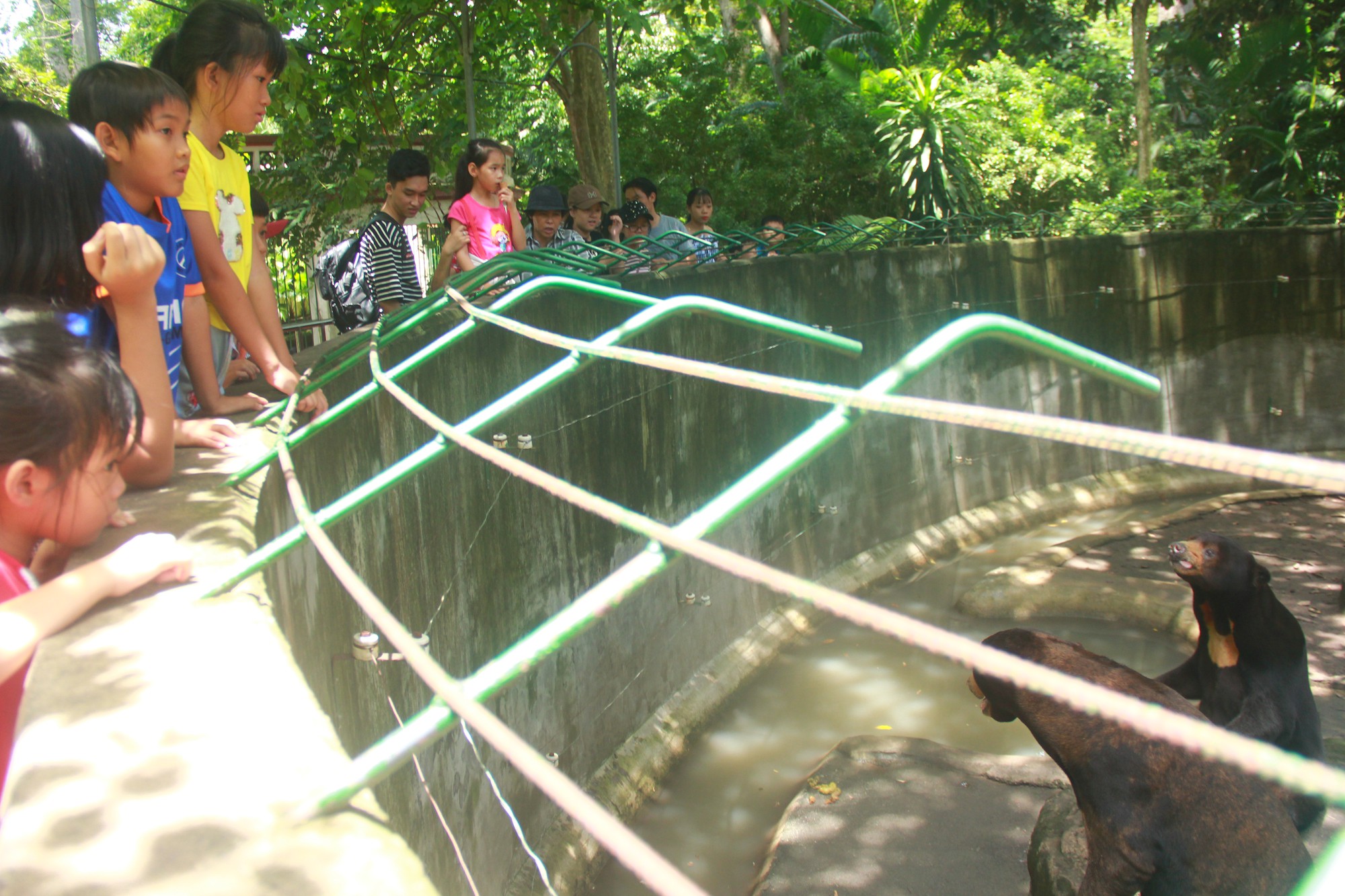 Nhiều du khách vứt thức ăn cho gấu tạo thành thói quen xấu.