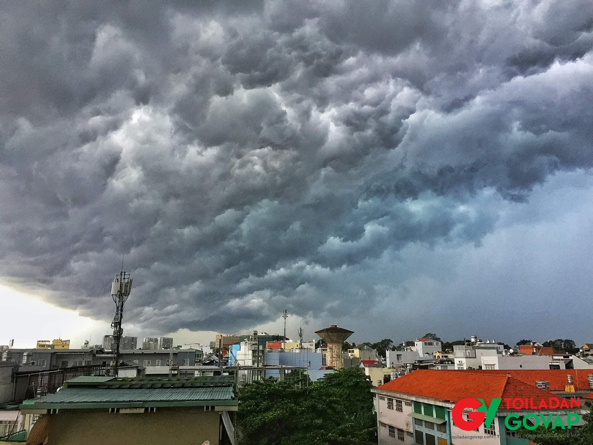 Ảnh Tôi là dân Gò Vấp.