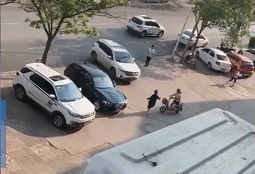 Hành động bị lên án kịch liệt của người đàn ông trong xe