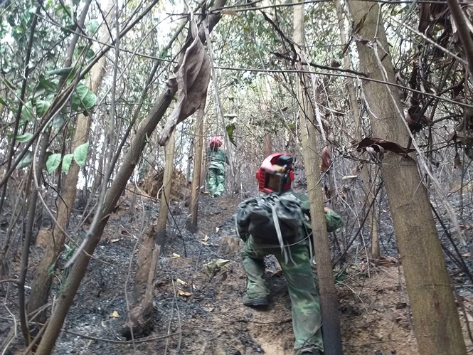 Đám cháy được khống chế sau gần 3 giờ đồng hồ. 