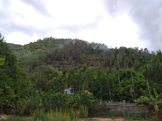 Ước tính có khoảng 2h rừng bị thiêu rụi.