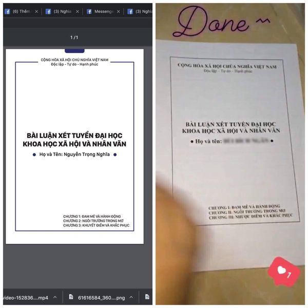 Theo lời của Trọng Nghĩa, bài luận của nữ sinh này giống bài luận của anh đến 90%, từ bìa, tiêu đề đến nội dung bên trong.