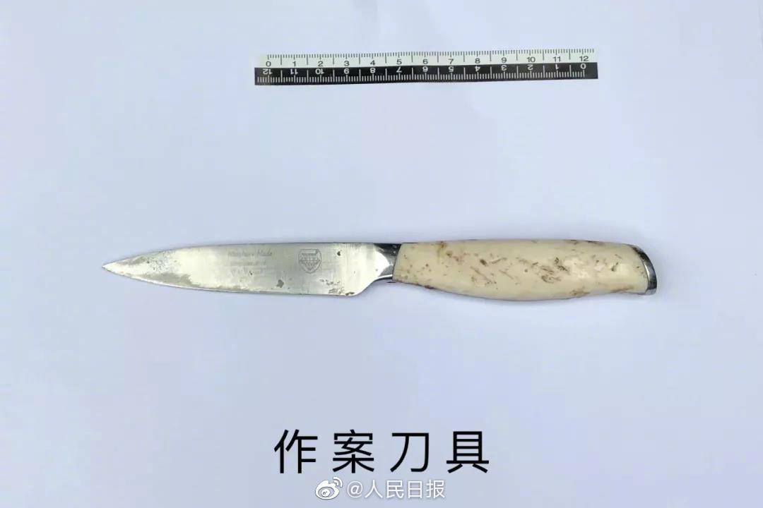 Con dao y sử dụng để đâm Nhậm Đạt Hoa