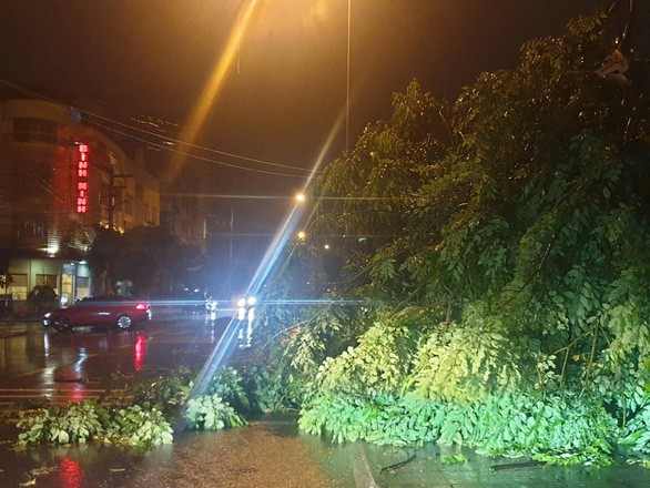 Nhiều cây xanh bật gốc do mưa bão số 3 tại thành phố Móng Cái. Ảnh Fb.