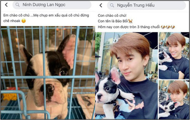 Ninh Dương Lan Ngọc và Chi Dân bị soi cùng nuôi chung một chú cún.