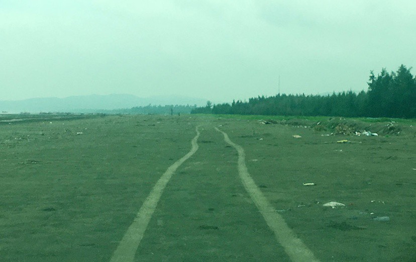 Rừng phi lao ven biển nơi tài xế xe taxi chở bé gái ra.