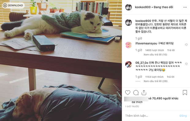 Mới đây, Goo Hye Sun tuyên bố không muốn ly hôn vì một chú mèo