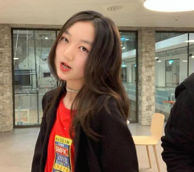 Bức ảnh mới của Lý Yên nhận được nhiều lời khen của netizen