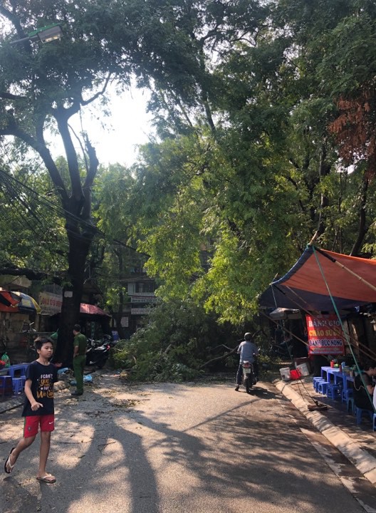 Lực lượng chức năng đã nhanh chóng có mặt để giải quyết, tránh tình trạng ùn tắc