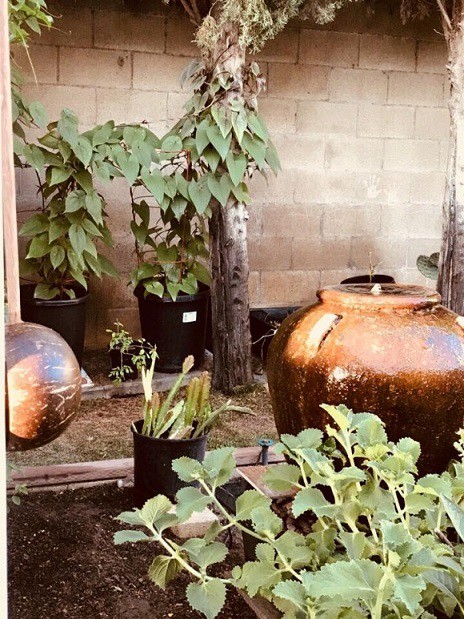 Hương Lan và chồng sinh sống tại Westminter, phía Nam bang California. Ngôi nhà của cô có tổng diện tích gần 1.000 m2. Trong đó, nhà ở chiếm khoảng 360 m2, còn lại là khoảng đất trống. Với khí hậu ôn hòa cùng 4 mùa rõ rệt của Cali, nữ danh ca dành một khoảng không gian rộng để trồng các loại cây trái yêu thích.