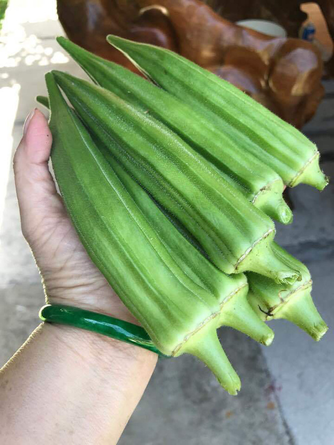 Mỗi sáng, vợ chồng nữ ca sĩ dậy sớm tập thể dục, sau đó cùng tưới cây rồi dọn dẹp nhà cửa. Không khí thanh bình trong chính ngôi nhà mình giúp tuổi xế chiều của cô và chồng thoải mái và vơi đi phần nào nỗi nhớ quê hương.