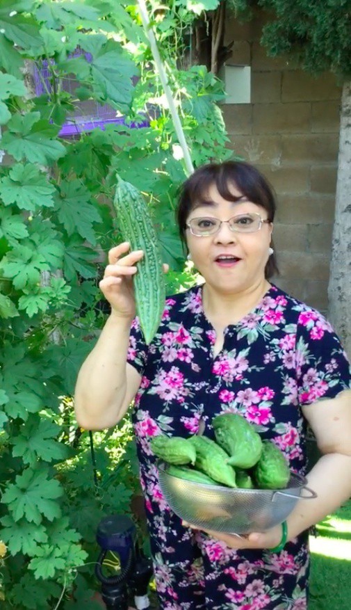 Hương Lan bên cạnh “thành quả” mình gieo trồng suốt nhiều tháng. Do chỉ có 2 vợ chồng nên mọi việc từ làm đất, bón phân, gieo hạt... phần lớn đều một tay họ tự làm.