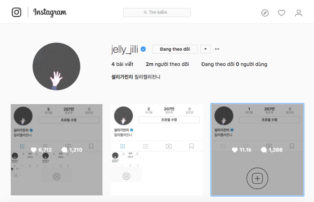 Sau đó, cô nàng đã xoá toàn bộ bài đăng trên Instagram bằng loạt hình ảnh khó hiểu, nhiều người cho rằng đây là thời điểm sự trầm cảm của Sulli đã nặng hơn