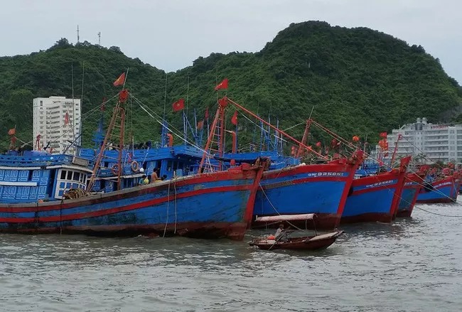 Nhiều tàu cá đã chủ động trú tránh để ứng phó với bão số 6 dự báo sẽ ảnh hưởng trực tiếp đến các tỉnh Nam Trung bộ trong thời gian tới Ảnh: Bình Phương.