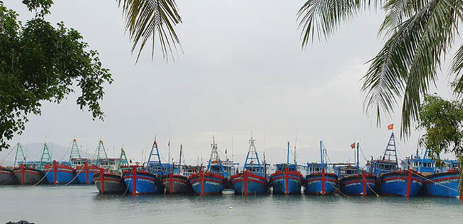 Thuyền đã vào bến neo đậu