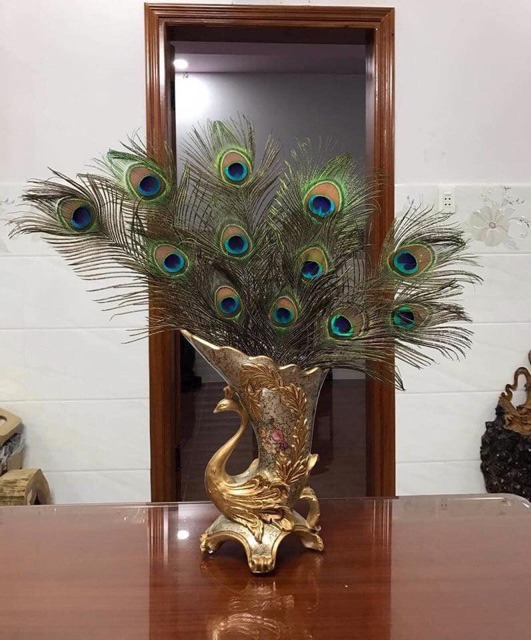 Theo quan điểm dân gian, lông công có ý nghĩa mang lại tài vận cho phái mạnh.