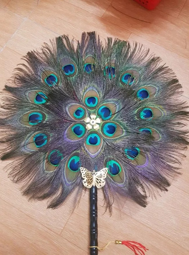 Gắn liền với truyền thuyết Phượng Hoàng, lông công còn có ý nghĩa mang lại sự phục hưng.