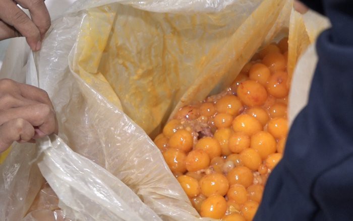 300 kg trứng non không có giấy tờ đảm bảo vệ sinh an toàn thực phẩm.