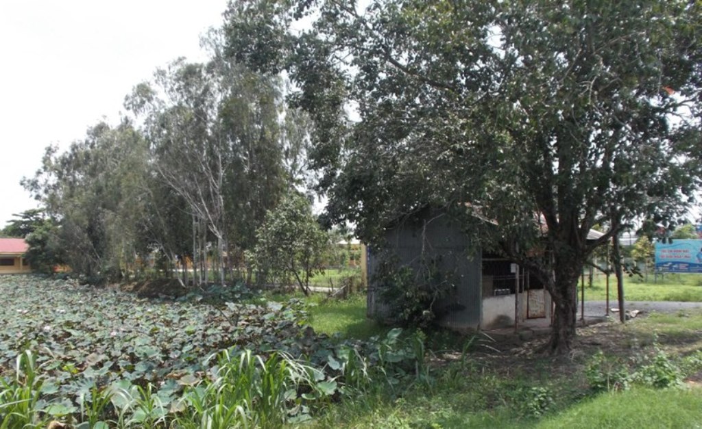 Khu vực phát hiện thi thể ông B..