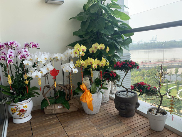 Cao Thái Hà tự tay mua rất nhiều chậu Lan và dây treo để chào đón năm mới.