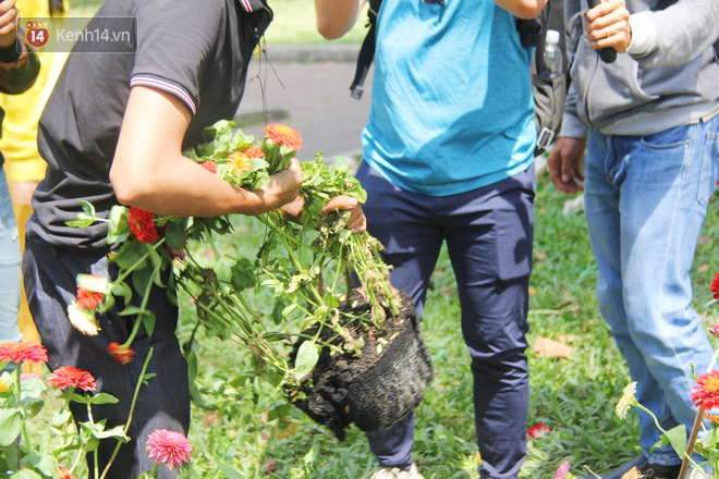 Bẻ hết những số hoa không bán được để vứt bỏ.