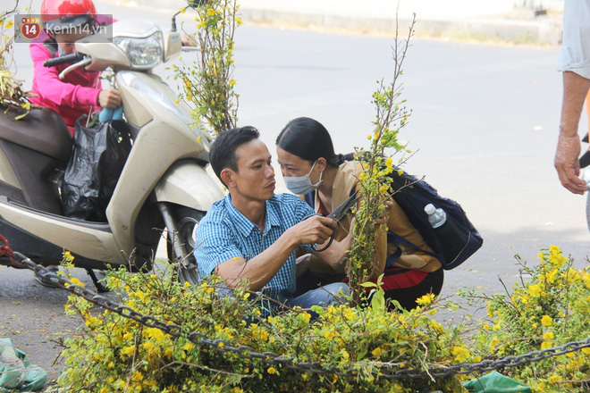 Có người cắt cành vứt bỏ, có người lại chấp nhận bán rẻ, bán tháo hoa trưa 30 Tết tại Sài Gòn.