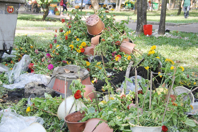 Hàng trăm chậu hoa đã bị đập bỏ tại công viên 23/9.