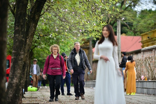 Rồi cứ mỗi mùa ban nở, người ta lại háo hức ngóng trông, lưu giữ cả một mùa hoa ban trong những tấm ảnh kỷ niệm.