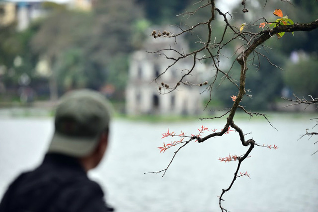 Xen giữa những sắc đỏ, nâu, xanh, vàng không chỉ là màu của chồi non đang khẽ cựa mình...