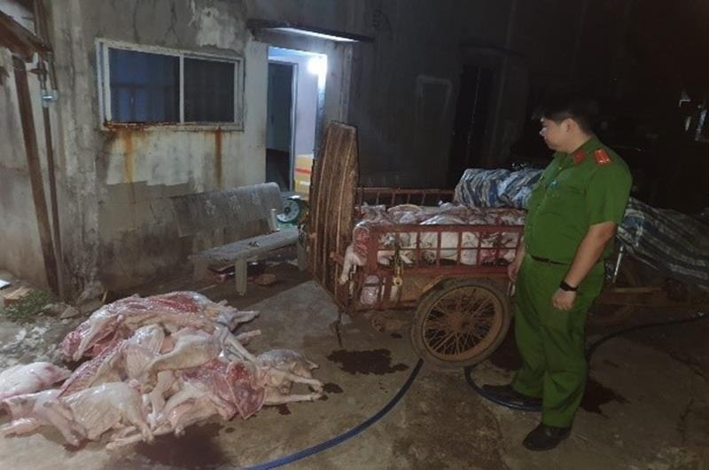 Những con lợn chết được thu mua giá rẻ rồi bán cho công nhân.